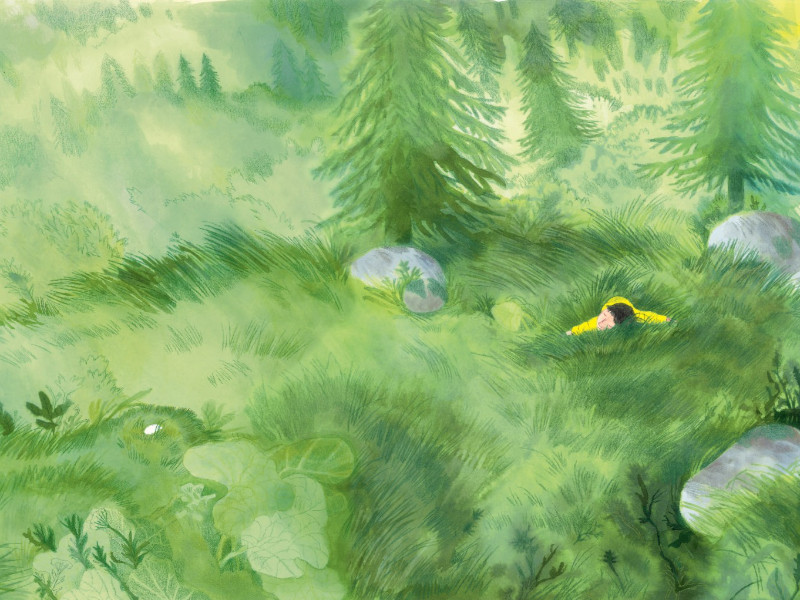 Immagine 7 del portfolio di Sara Donati
