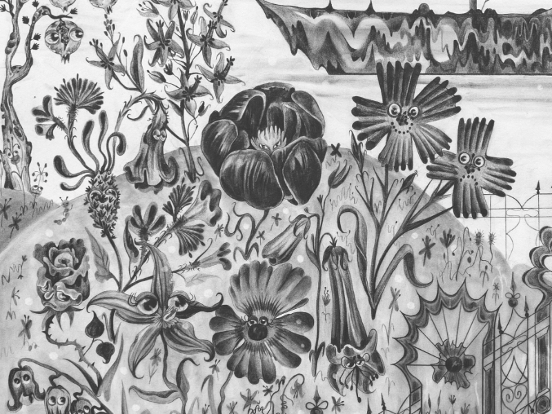 Immagine 2 del portfolio di Dario Sostegni