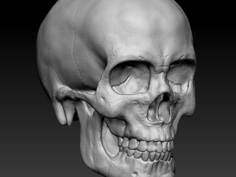 Immagine 1 del portfolio di Giorgio Gregori