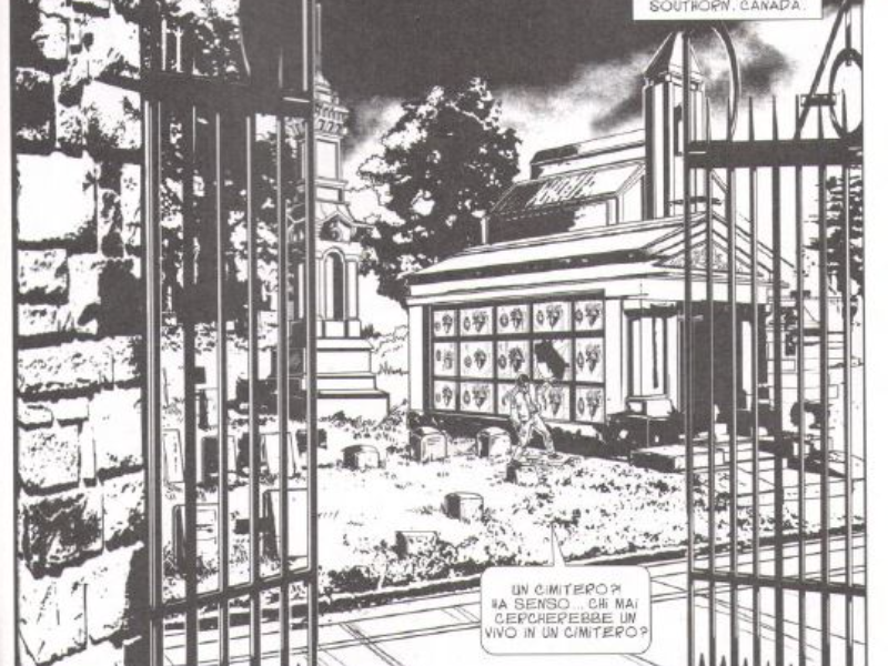 Immagine 4 del portfolio di Luca Mazzocco