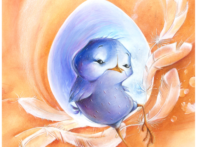 Immagine 3 del portfolio di Valentina Rizzo