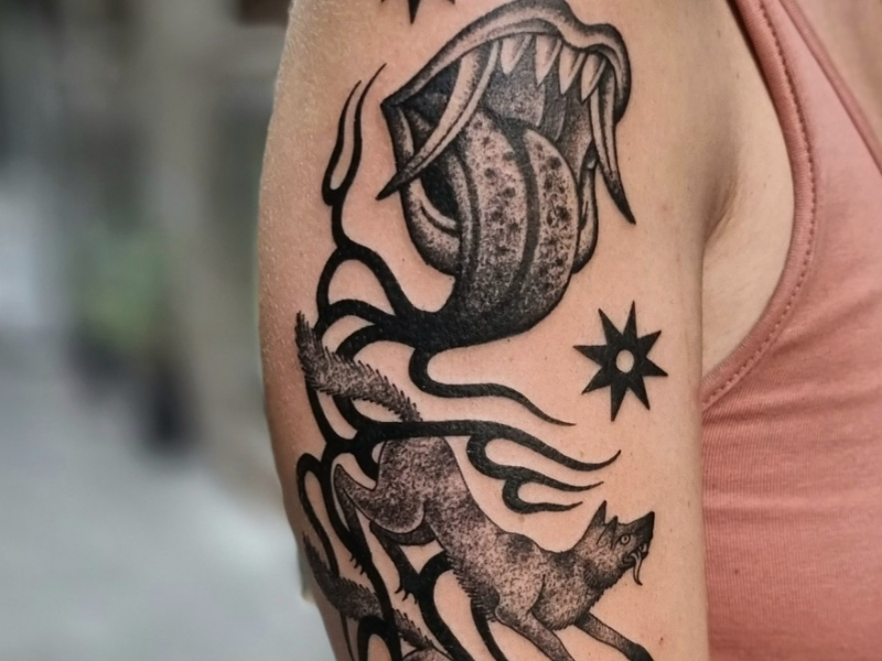 Immagine 1 del portfolio di Matteo Pulvirenti