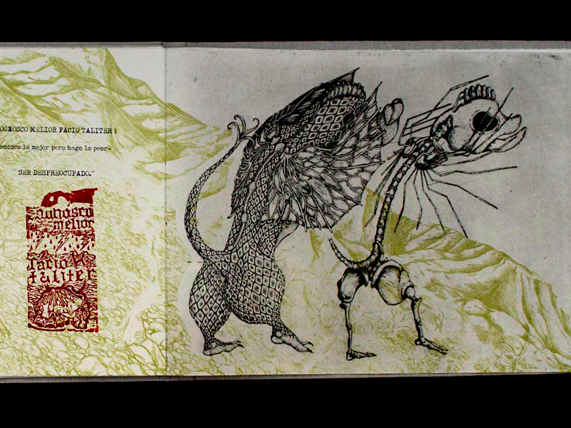 Immagine 3 del portfolio di Marcella  Mangano