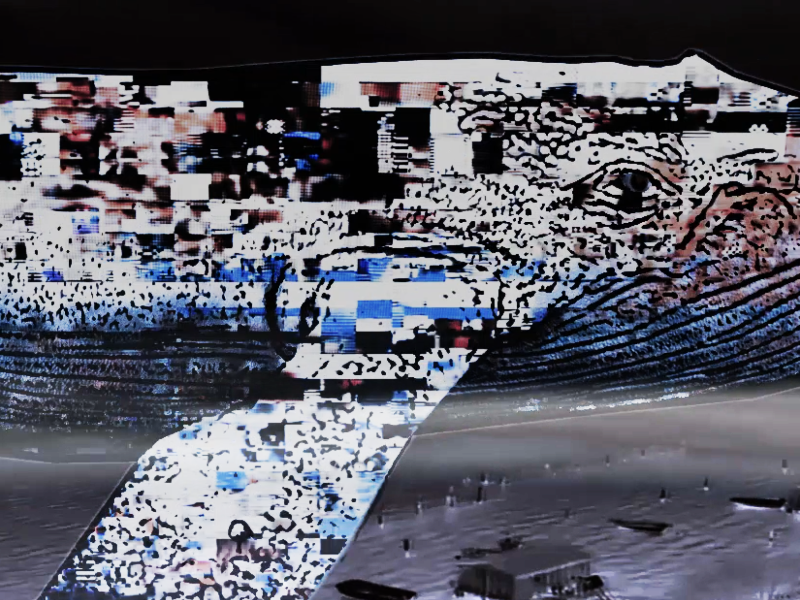 Immagine 3 del portfolio di Irene Catozzi