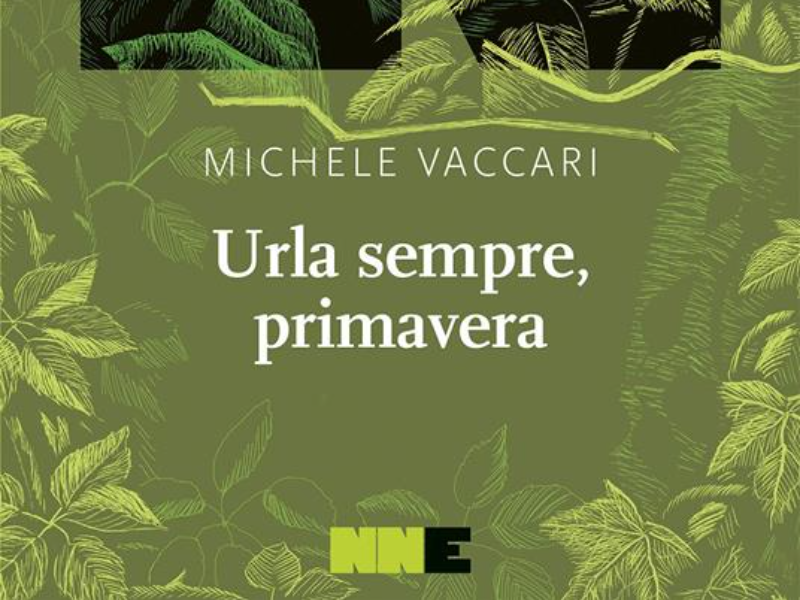 Immagine 1 del portfolio di Michele Vaccari
