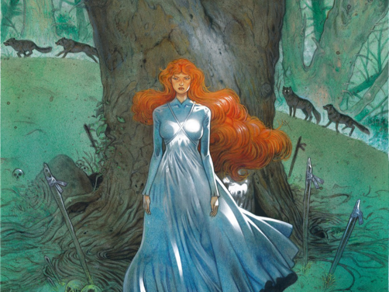 Immagine 2 del portfolio di Fabio Mantovani