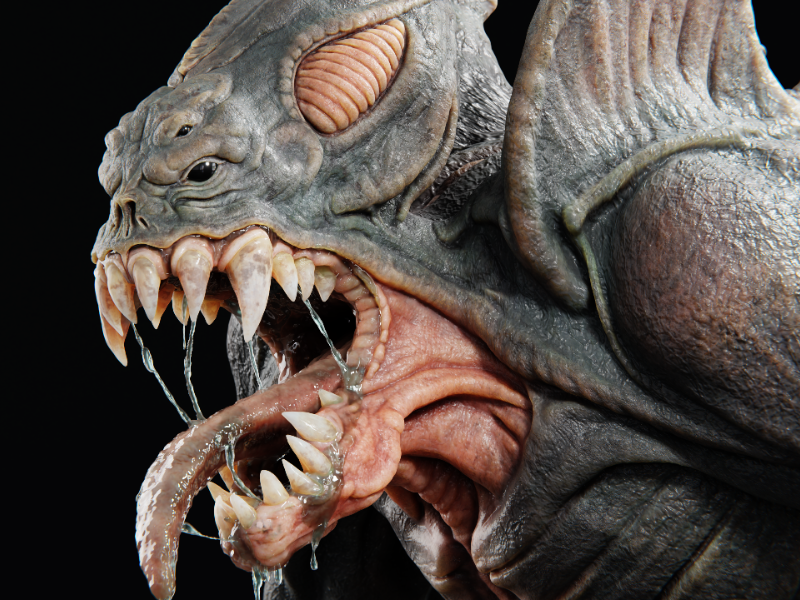 Immagine 2 del portfolio di Piergiuseppe Lacitignola