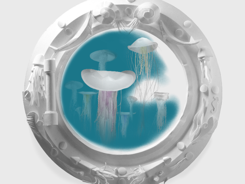 Immagine 6 del portfolio di Benedetta Frezzotti