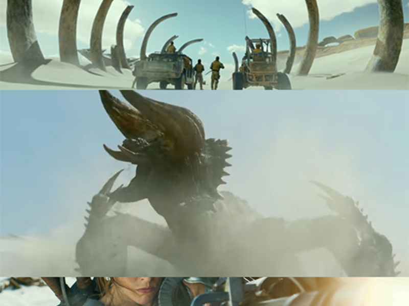 Immagine 2 del portfolio di Alessia Fancelli