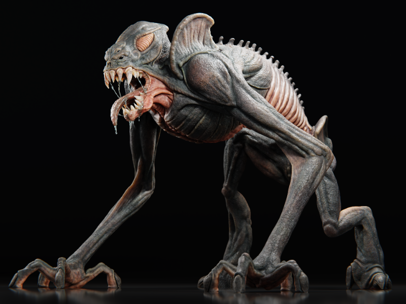 Immagine 1 del portfolio di Manuel D'Onofrio