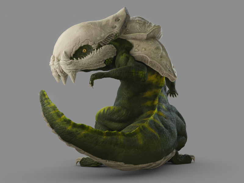 Immagine 4 del portfolio di Manuel D'Onofrio