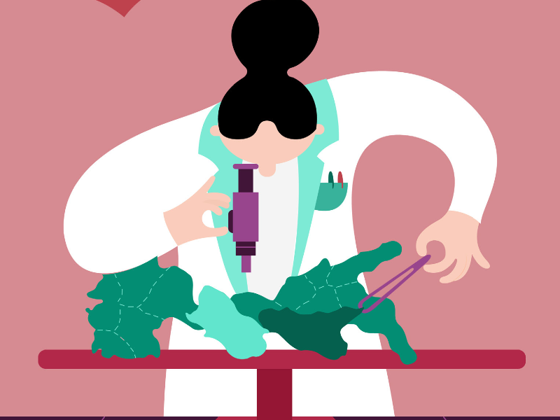 Immagine 3 del portfolio di Chiara Zarmati